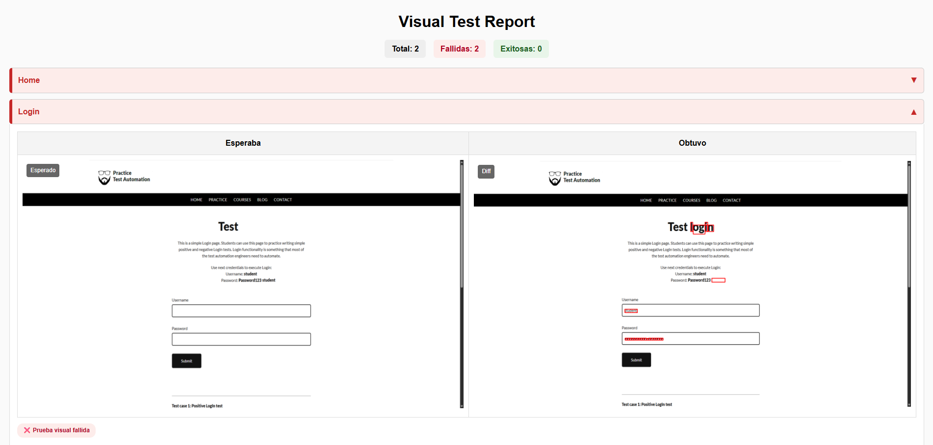 Visual Test Report